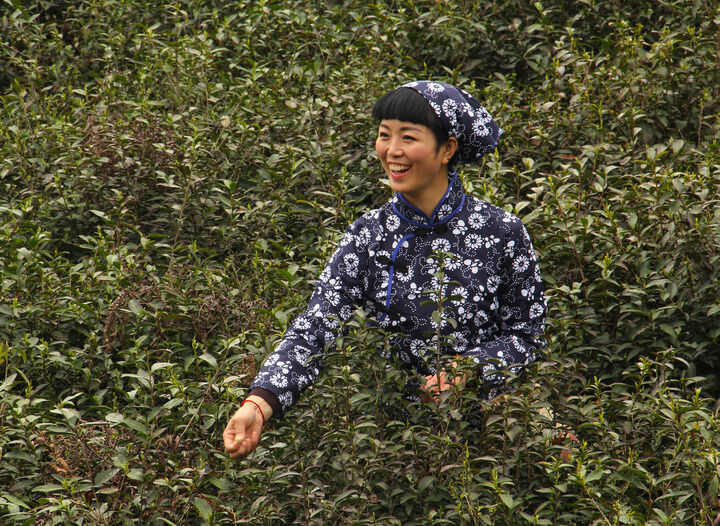 迷雾直播